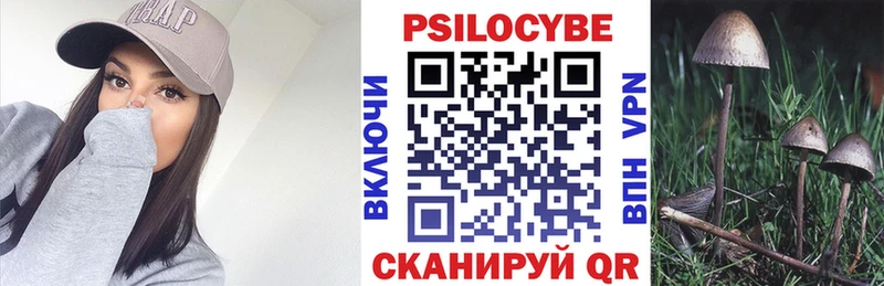 Псилоцибиновые грибы Cubensis  купить  цена  Ельня 